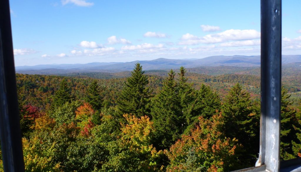 View from Molly Stark Fire Tower